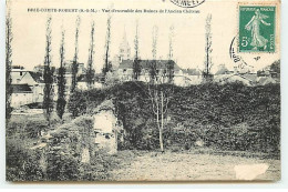 BRIE COMTE ROBERT - Vue D'ensemble Des Ruines De L'Ancien Château - Brie Comte Robert