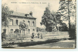 BOISNEY - Le Château De Le Petite-Croix M. Amelot - Sonstige & Ohne Zuordnung