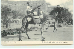 Inde - JAIPUR - A Camel With Rider And Gun - Indien