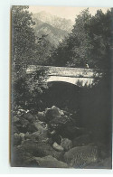 Carte Photo - VIVARIO - VIZZAVONA - Pont Du Folminato - Photo Moretti - Autres & Non Classés