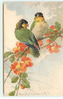 Illustrateur - C. Klein - Deux Perruches Sur Une Branche Fleurie - Klein, Catharina
