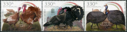Hungary 2024. Poultry Breeds Of Hungary (MNH OG) Block Of 3 Stamps - Nuevos