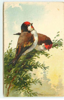 Illustrateur - C. Klein - Deux Oiseaux Sur Une Branche - Klein, Catharina