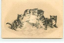 Carte Gaufrée - Animaux - Chat - Chats Lisant Une Lettre - Cats