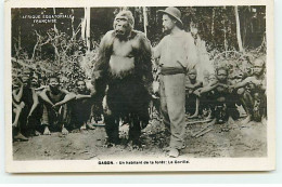Gabon - Un Habitant De La Forêt : Le Gorille - Afrique Equatoriale Française - Gabun