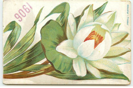 Fleur - Nénuphar : Froideur - 1906 - Fleurs