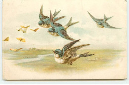 Animaux - Moineaux  Volant - Papillons - Oiseaux