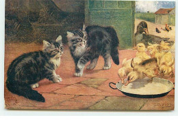 Animaux - Chat - Chats Près De Cannetons Mangeant - Catland Série II - Raphael Tuck Oilette - Cats