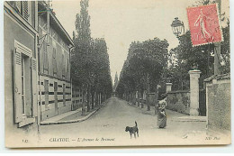 CHATOU - L'Avenue De Brimont - Chatou