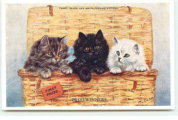 Animaux - Chat - M. Gear - Prizewinners - Tabby, Black And White Persian Kittens - Cats
