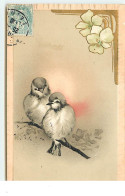 Carte Gaufrée - Oiseaux Sur Une Branche - Oiseaux
