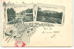 Gruss Aus ZABERN-ZORNTHAL - Rhein-Marne Kanal, ... - Multi-Vues - 1898 - Saverne