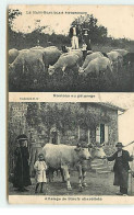 Agriculture - Le Haut-Beaujolais Pittoresque - Moutons Au Pâturage - Attelage De Boeufs Charollais - Viehzucht