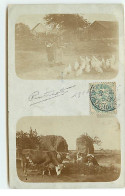 Carte Photo - MALESHERBES - Vaches Broutant, Et Une Femme Nourrissant Des Poules Dans Une Ferme - Malesherbes