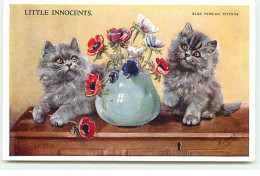 Animaux - Chat - M. Gear - Little Innocents - Blue Persian Kittens - Anémones Dans Un Vase - Cats