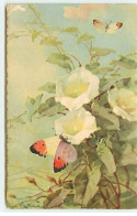 Illustrateur - C. Klein - Papillons Autour De Fleurs - Klein, Catharina