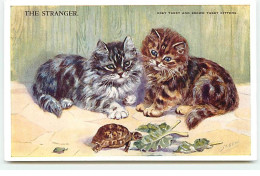 Animaux - Chat - M. Gear - The Stranger - Grey Tabby And Brown Tabby Kittens - Tortue - Cats