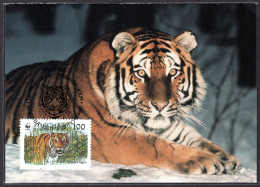 RUSLAND Yt. 6030 FDC WWF 1993 - FDC