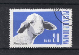 ROEMENIE Yt. 1889° Gestempeld 1962 - Used Stamps