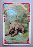 ChromO - L' Éléphant Bonne D'Enfant - Other & Unclassified