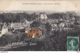 CPA 45  CHATEAU - RENARD  Vue  Generale  Sud - Other & Unclassified