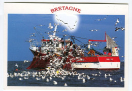 A La Remontée Du Filet Les Clients Sont Nombreux - Bateau Pêche - Bretagne - Fishing Boats