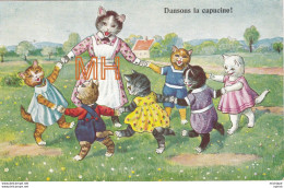 Dansons  La Capucine - Chats