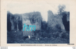 CPA 77  MONTAIGUILLON RUINES DU CHATEAU T B  ETAT - Sonstige & Ohne Zuordnung