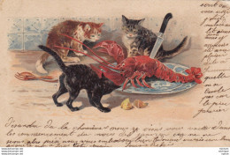 Chats  Et Langouste - Chats