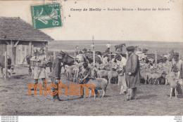 CPA 10   MAILLY LE CAMP  Boucherie  Militaire  Réception Des  Animaux - Mailly-le-Camp
