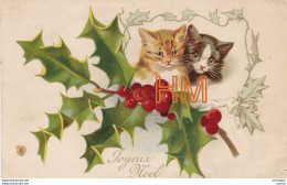 2 Chatons -joyeux  Noel - Cats