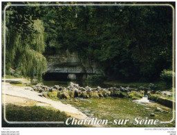 CPM  21  CHATILLON  SOURCE DE LA  DOUIX    PARFAIT ETAT - Chatillon Sur Seine