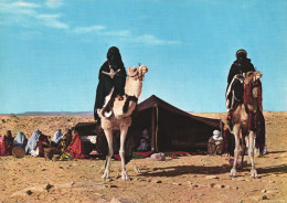 GADAMES, WEDDING, CAMELS, TENT, LIBYA, POSTCARD - Libya