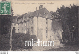 C P A 45   CHAMBON LA FORET  Le Chateau Coté  Ouest - Other & Unclassified