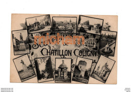 CPA  45 CHATILLON COLIGNY  Multivues - Chatillon Coligny
