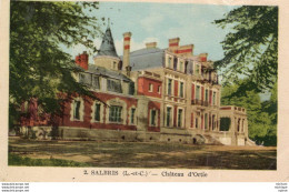 C P A   41 - SALBRIS -   Chateau D'ortie - Salbris
