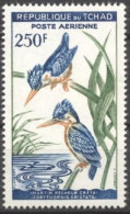 Tchad 1963, Bird, Kingfisher, 1val - Uccelli Canterini Ed Arboricoli