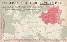 Just Think! There Are 30 Million Poles!,  Map Kiew, Odessa, Vilna,Cernowitz, Contantinopol - Poland