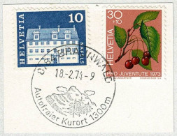 Schweiz / Helvetia 1974, Ortswerbestempel Braunwald, Autofreier Kurort - Autres & Non Classés