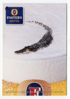 Bière Foster's Crocodile Verre Mousse - Publicité