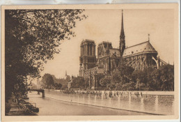 Paris 75   Carte Non Circulée_Notre Dame Et Le Square De L'Archeveché - Notre Dame De Paris