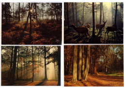 Vintage - 4 Belles C.P. D’Art - Forêts Et Sous-bois - Années 70 - #1 - DQ - Bäume