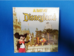 Film Super 8 Mm A Day At  Disneyland  Walt Disney Productions N°702 - Andere Formaten