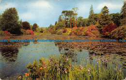 R071307 Old Postcard. Lake And Trees. Salmon. 1966 - World