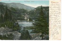 1903 - LUNZ , Gute Zustand, 2 Scan - Lunz Am See