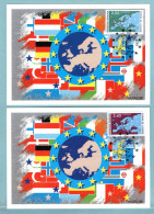 Carte Maximum 1991 - Conseil De L'Europe 1991 - YT 106 Et 107 - 67 Strasbourg - 1990-1999