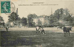44 - Issé - Laiterie-Beurrerie D'Issé - Vue De L'Usine Et Des Prairies - Vaches - Industrie - Oblitération Ronde De 1909 - Sonstige & Ohne Zuordnung