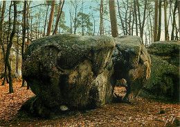 77 - Fontainebleau - Forêt De Fontainebleau - Aux Environs De Barbizon Dans Les Gorges D'Apremont : L'Eléphant - Curiosi - Fontainebleau
