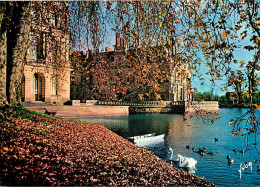 77 - Fontainebleau - Palais De Fontainebleau - L'Étang Des Carpes Et Le Château - Cygnes - Carte Neuve - CPM - Voir Scan - Fontainebleau