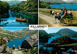 Irlande - Kerry - Killarney - Multivues - Chevaux - Ireland - CPM - Voir Scans Recto-Verso - Kerry
